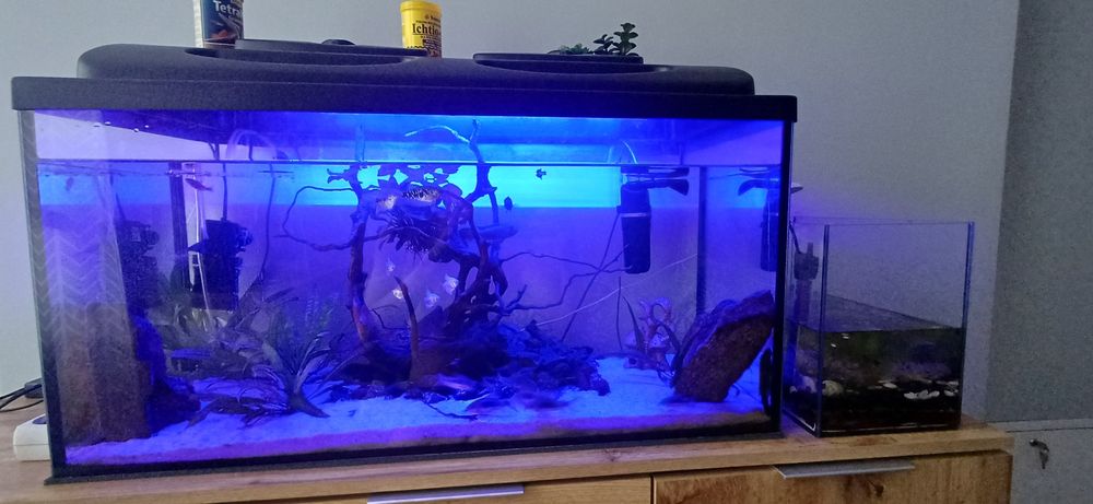 Sprzedam akwarium 112l z życiem+caly osprzęt