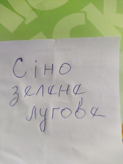 Сіно лугове,2024р.