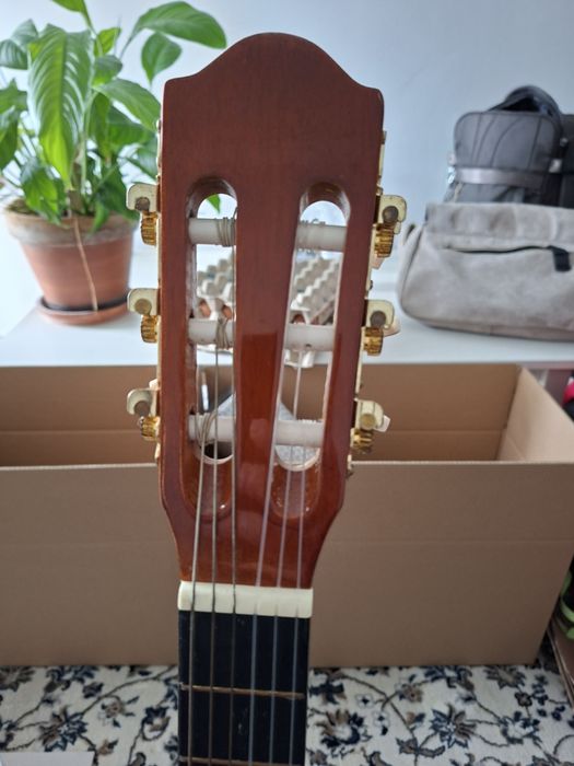 Guitarra Acústica 3/4 para iniciantes