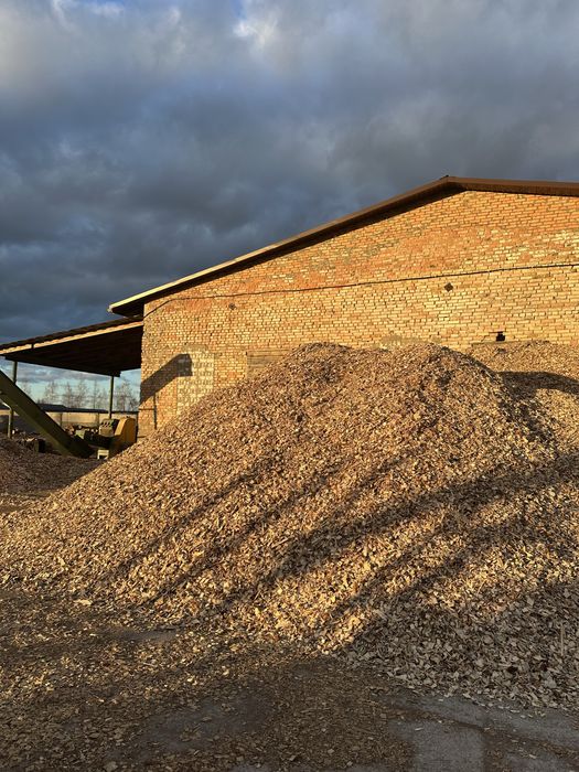 Щепа соснова 30/60