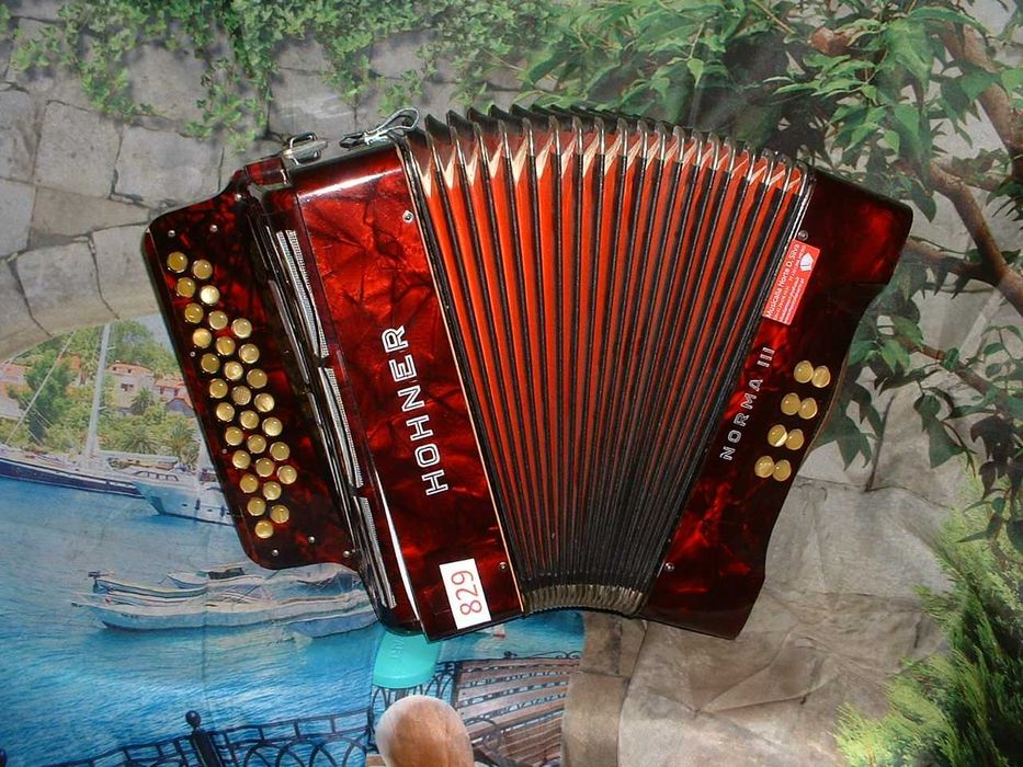 Concertina a venda n.829