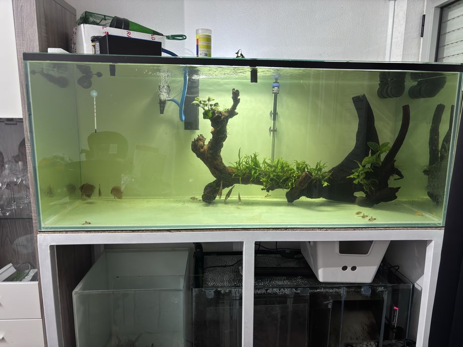Aquario com vidro frontal extra claro.