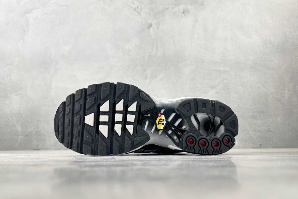 Air_Max_TN_Plus 41