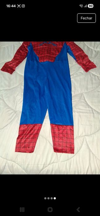Homen Aranha para Carnaval