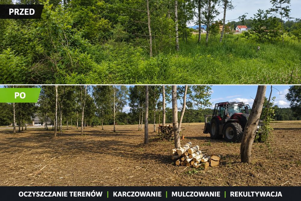 Mulczer leśny wgłębny powierzchniowy mulczowanie wycinka drzew działek