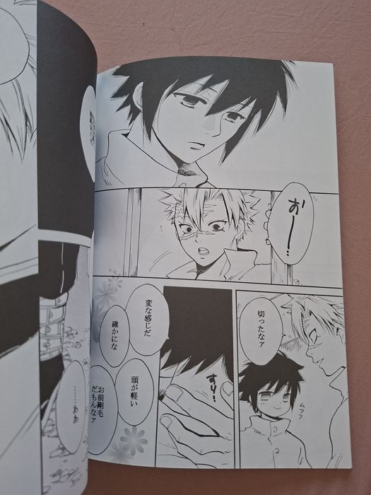 Demon slayer doujinshis Sanemi e Giyu