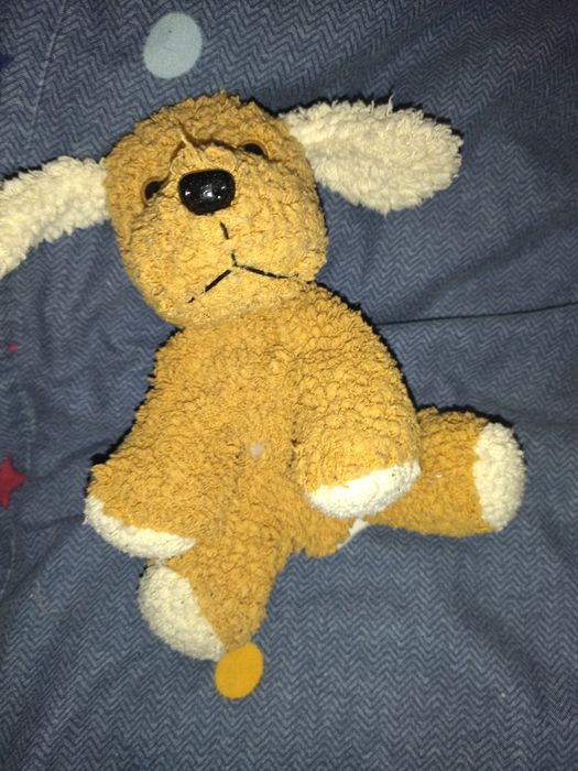 Собака зроблено своими руками