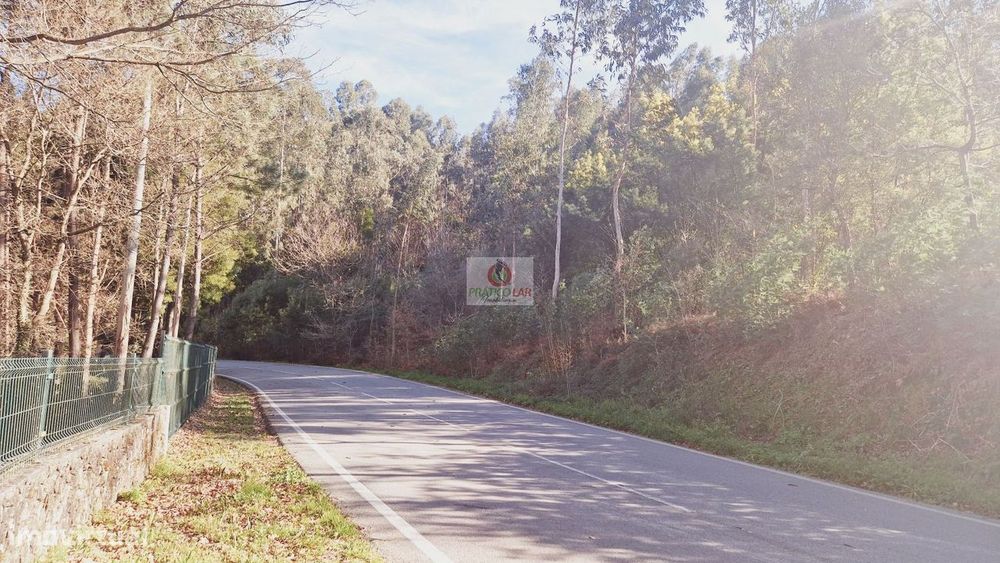 Terreno com viabilidade de construção em Cedrim- Tanque