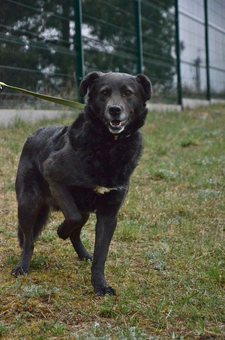 Majkel szuka spokojnego domu