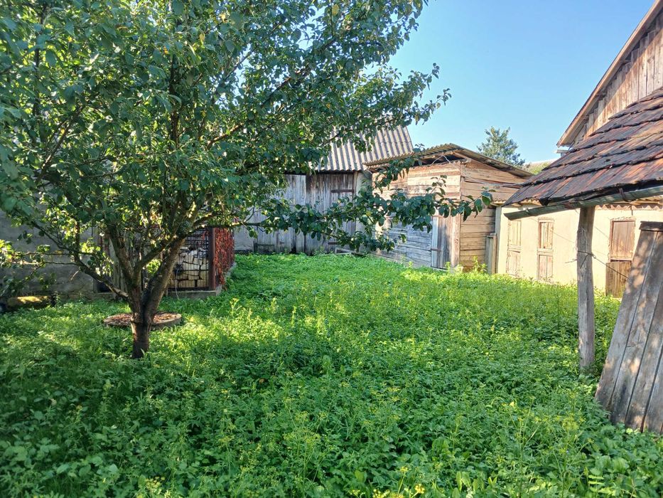 Будинок під бізнес та житло в затишному селі Берегівщини (ліс, озеро).