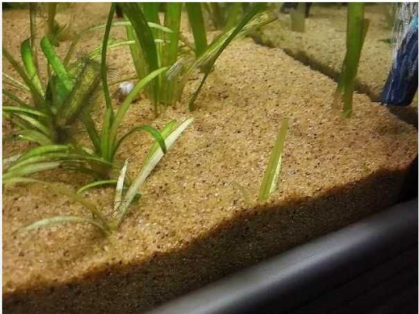 Кварцовий  обкатаний пісок для акваріума. фракція 0,5-2мм 5 кг