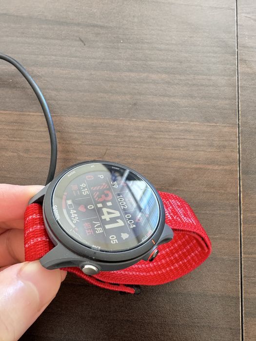 Garmin Forerunner 255