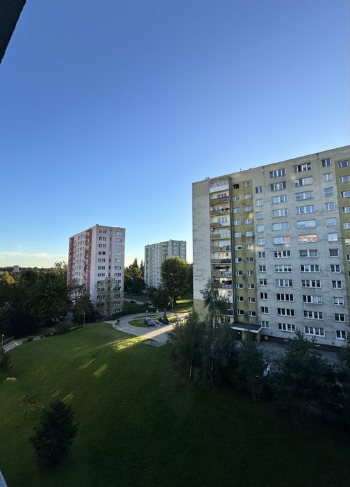 Zdjęcie 8