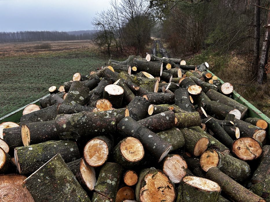 Drewno opałowe OLCHA