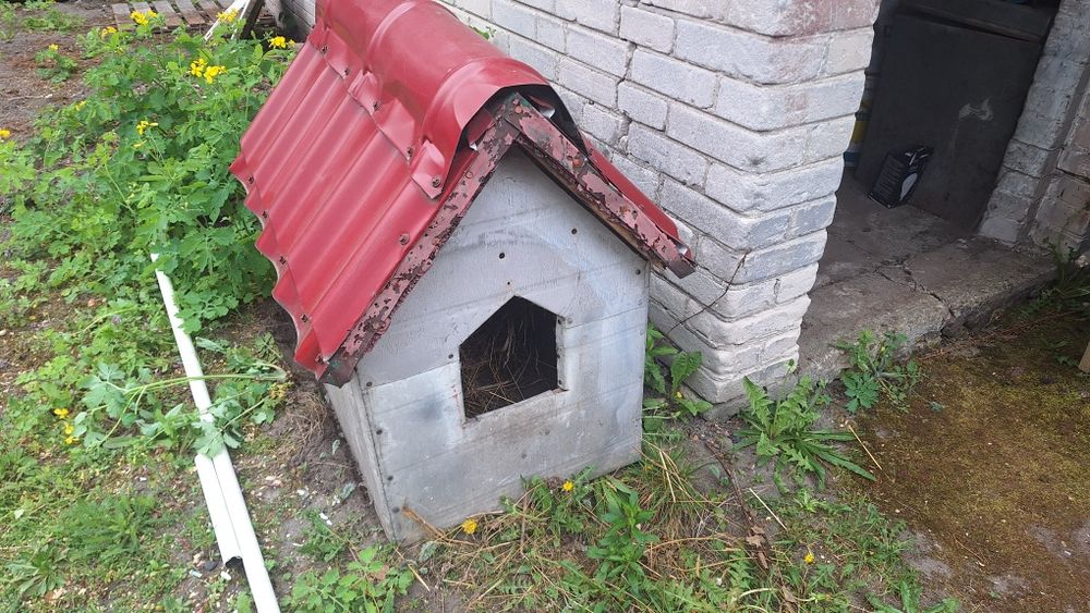 Solidna buda dla psa, ocieplana
