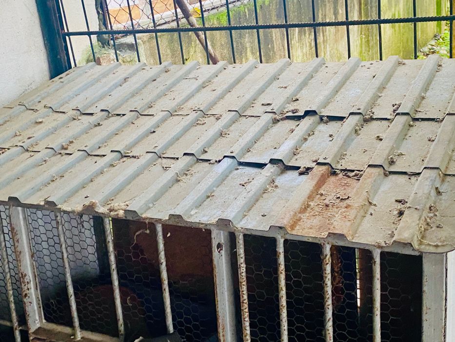 Gaiola para pássaros ou coelhos