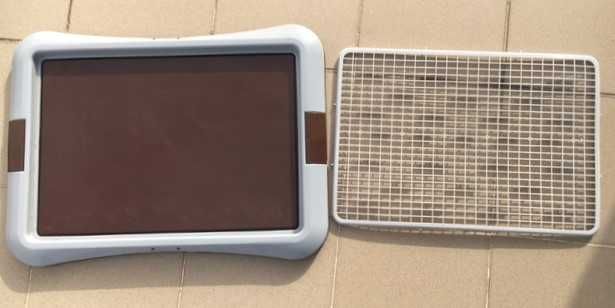 Tabuleiro higiénico de treino para cães