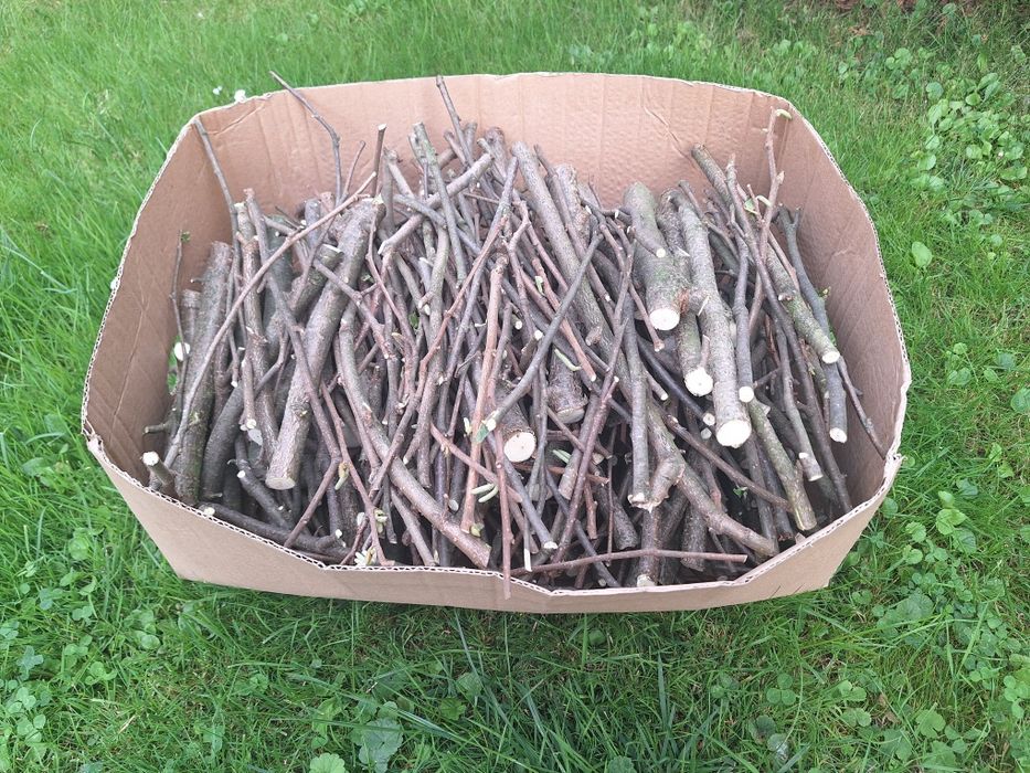 Gałązki leszczyny dla gryzoni 5 kg