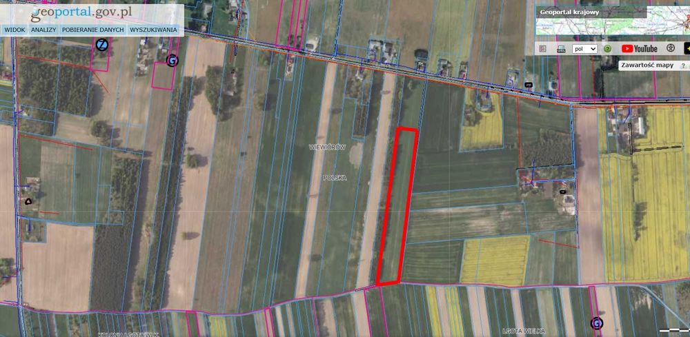 Sprzedam działka rolna miejscowość Wiewiórów Gmina Lgota Wielka 2,5ha pod uprawę rolną powiat radomszczański, oznaczenie RIVb RV szerokość 55m - Widok 2