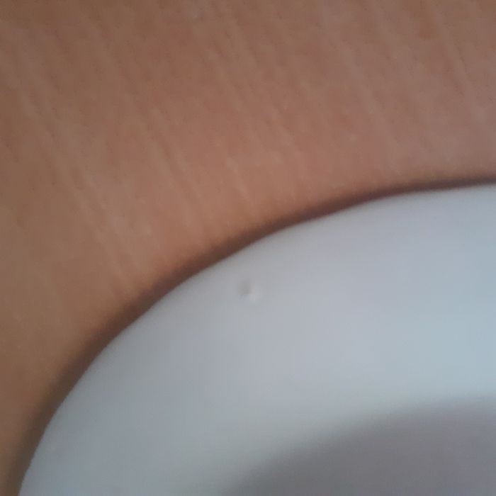 2 pratos Wessex Collection bem estimados