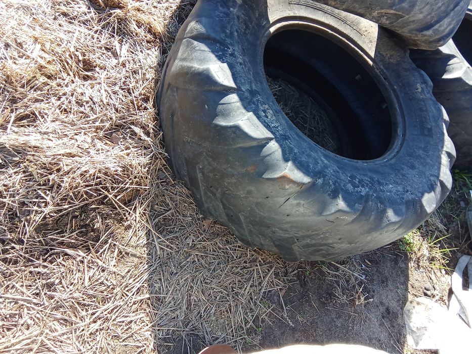 Opona Manitou 460/70/24