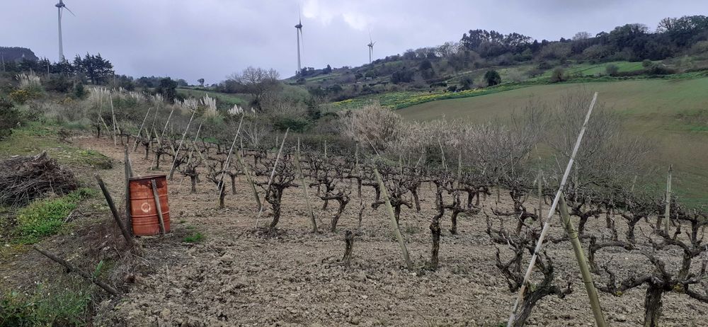 Quinta pequena- Sobral de Monte Agraço