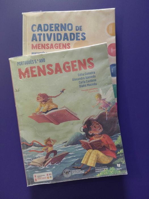 Manuais escolares 5 ano