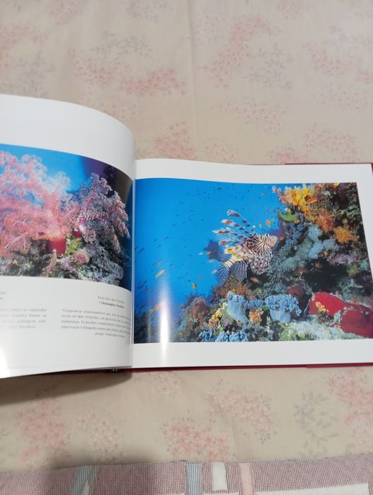 Livro Celebração dos Mares