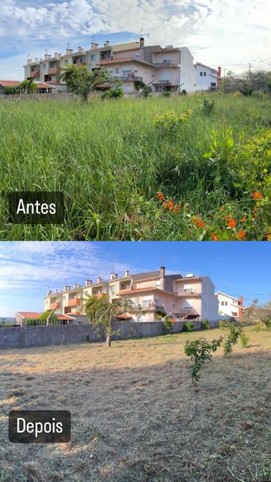 LIMPEZA DE TERRENOS PROFISSIONAL