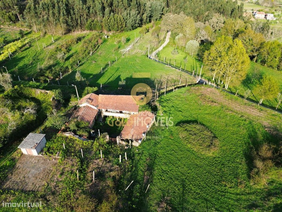 Quintinha T3 for Sale in Santa Maria de Sardoura, Castelo de Paiva