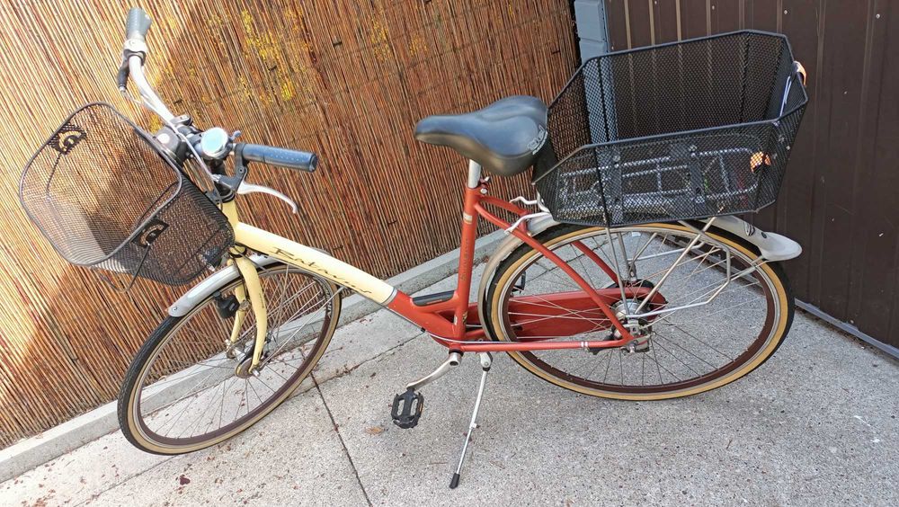 Batavus Rower damski