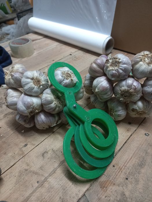 Czosnek Polski od rolnika