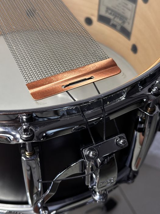 Werbel Pearl Masters Maple Complete