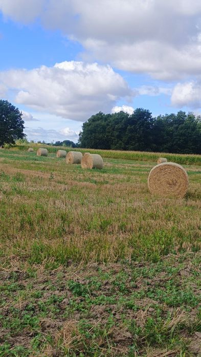 Sprzedam słomę !