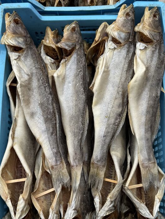 Вялена та ХК риба ОПТОМ | стабільні обʼєми | доставка