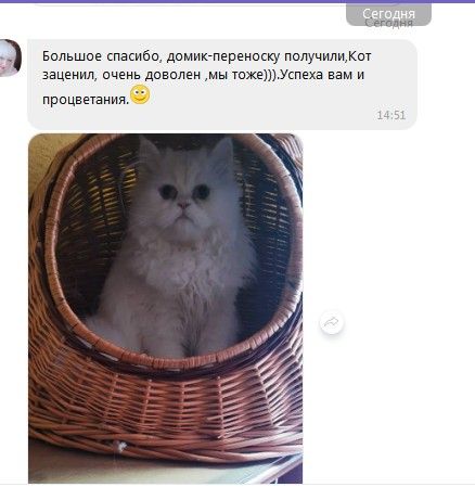 Переноска для кота плетеная новая