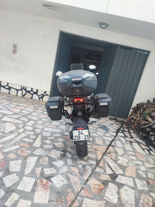 ZONTES 310T - 08/2019