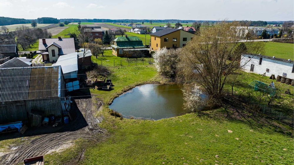 Zdjęcie 4