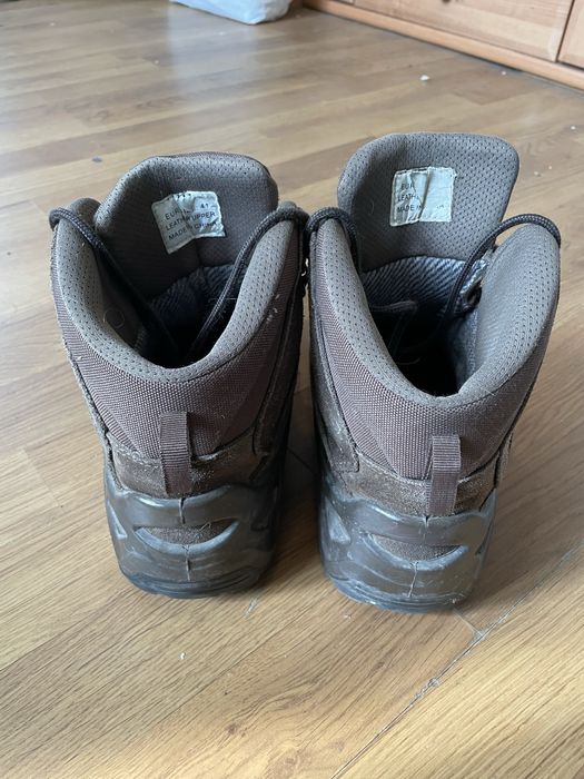 Бєрци алігатори