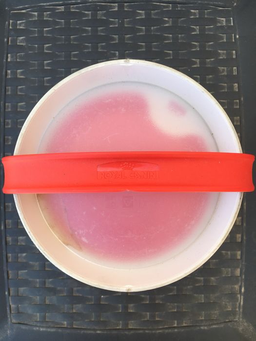 Gamelas de viagem para cão