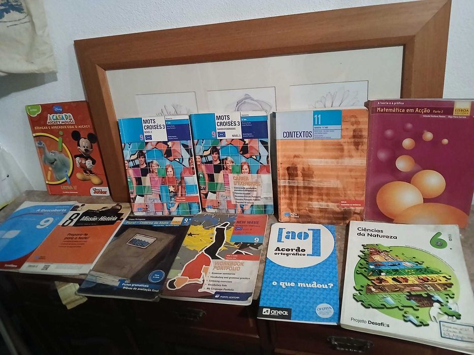 LIVROS vários, estudo, infantis