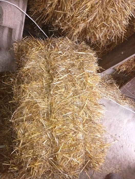 Sprzedam  śćiòłke i belki (kostka)