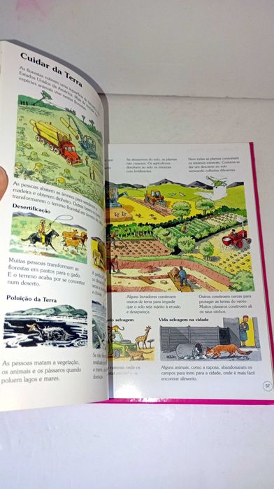 My First Encyclopedia429234160896593925