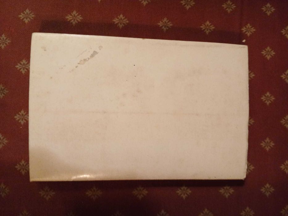 Elaine Sanceau, Os Portugueses No Brasil