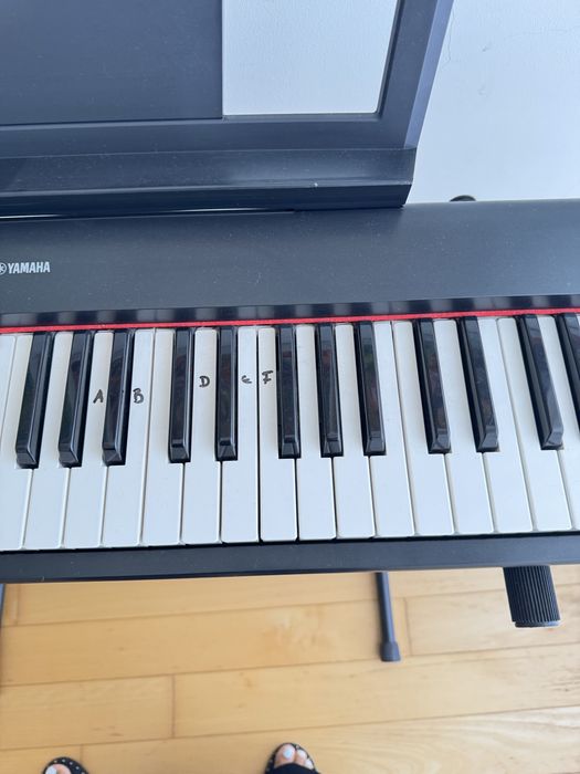 Teclado yamaha piaggero NP-31