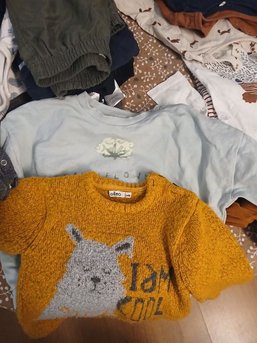 Lote de 18-24 meses. Calcas, t-shirts de manga comprida e sweatsl