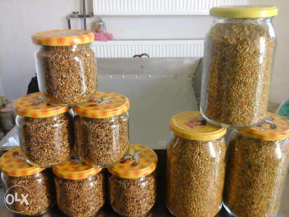 Pyłek pszczeli2025,pyłek kwiatowy2025,odnóża,pszczoły,ule,miód