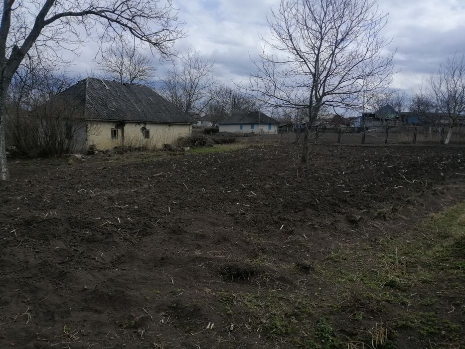 Земельна ділянка