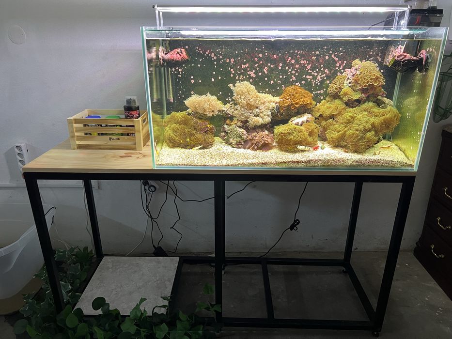 Estrutura para aquário