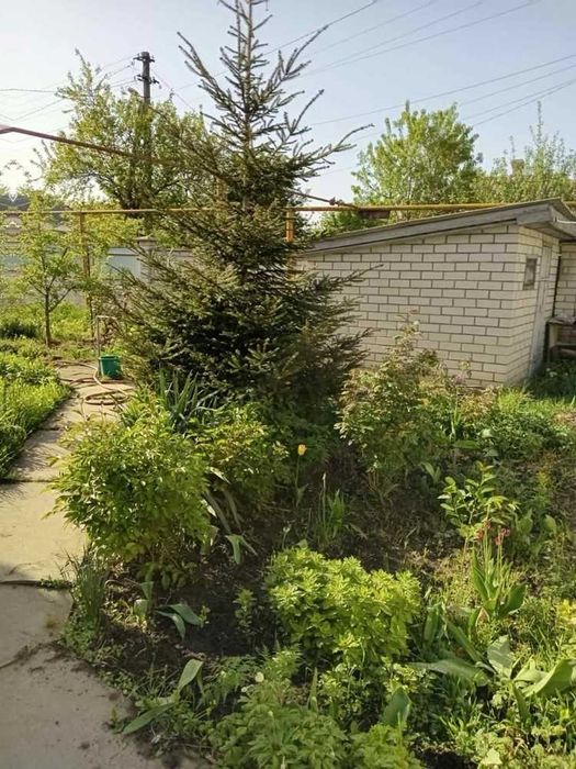 Продам дом в пос. Диевка